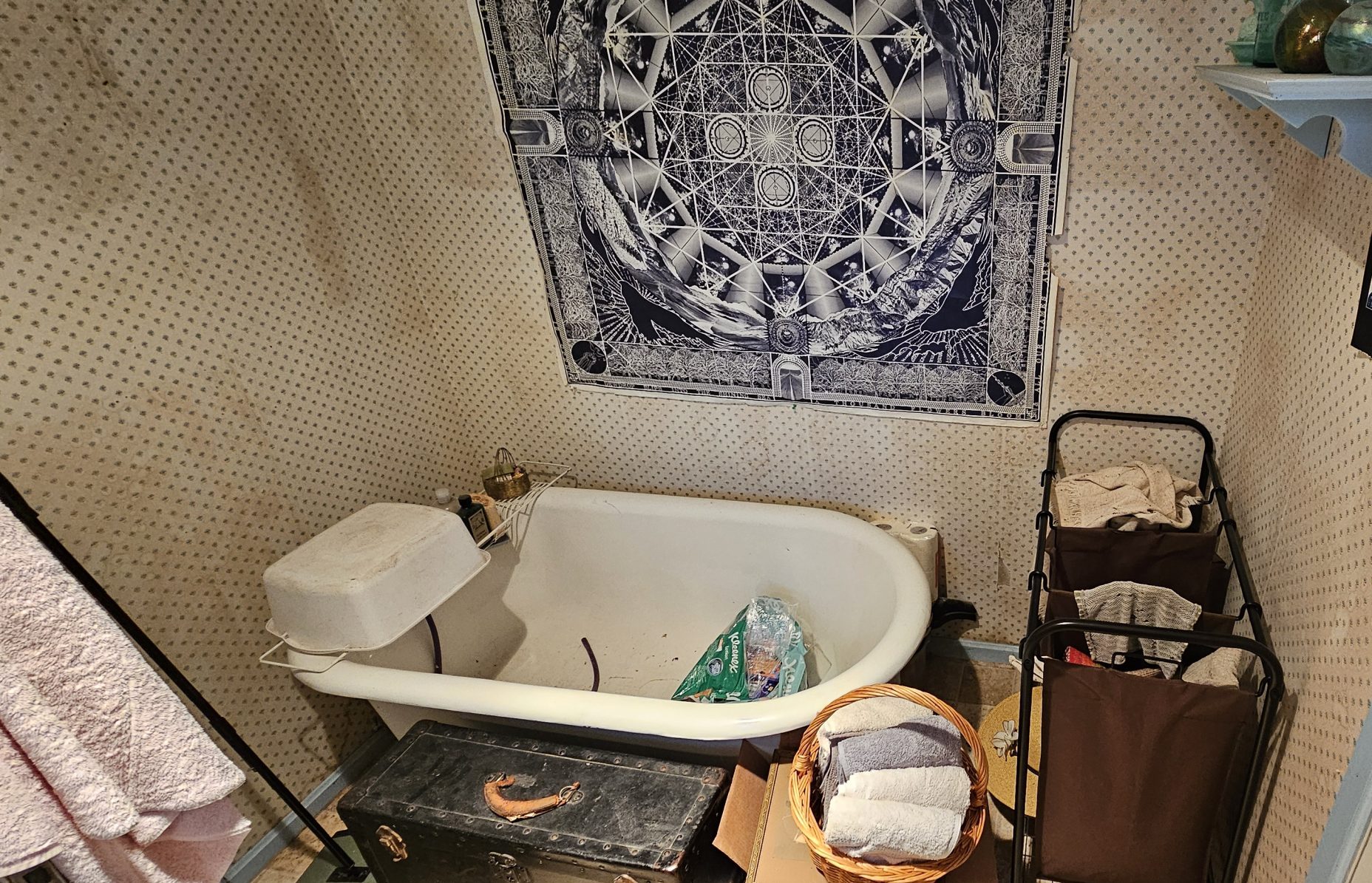 Before image